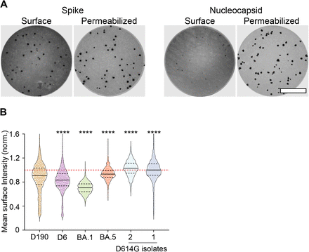 Figure 4: