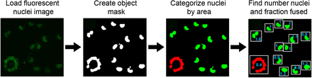 Figure 2 – figure supplement 1: