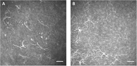 Figure 5: