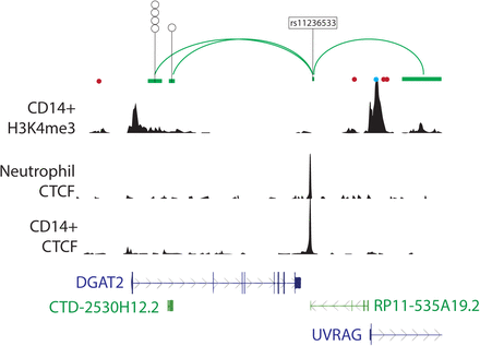 Figure 8: