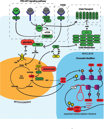 Figure 9: