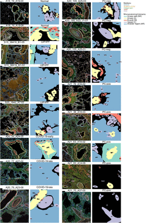 Supplementary Figure 2: