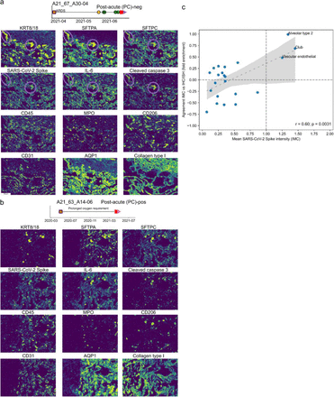 Supplementary Figure 6: