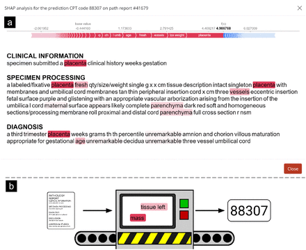 Supplementary Figure 7: