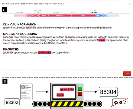 Supplementary Figure 8: