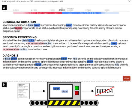 Supplementary Figure 2: