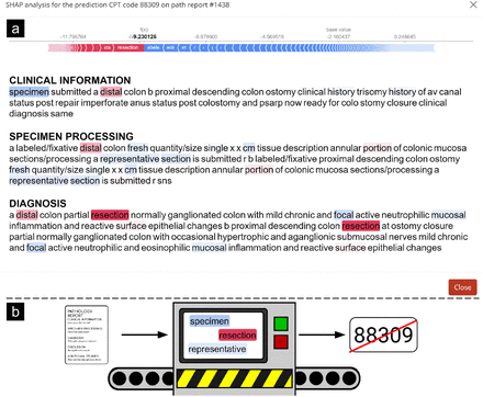 Supplementary Figure 4: