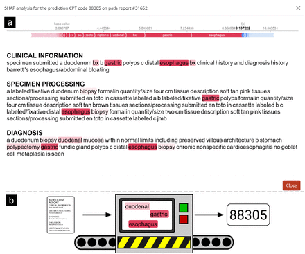 Supplementary Figure 6: