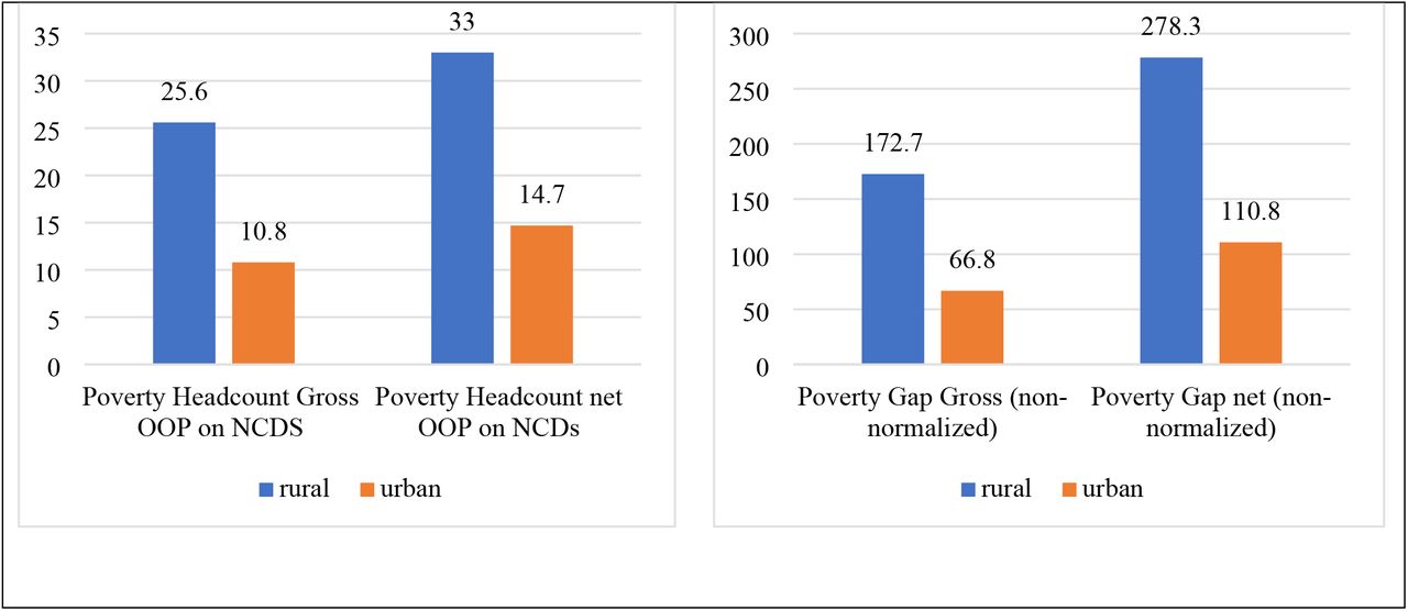 Household catastrophic health expenditure: a multicountry analysis