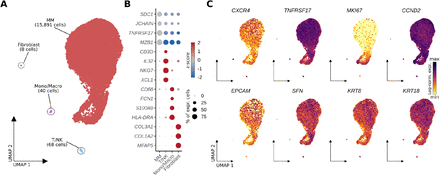 Figure 4: