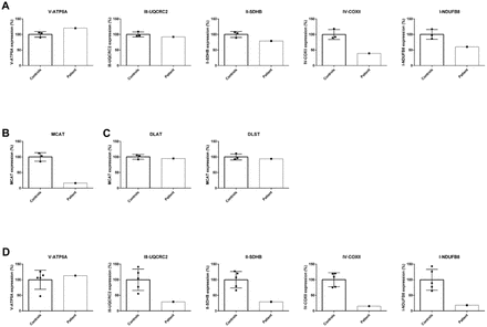 Figure 2- Figure Supplement 2A.