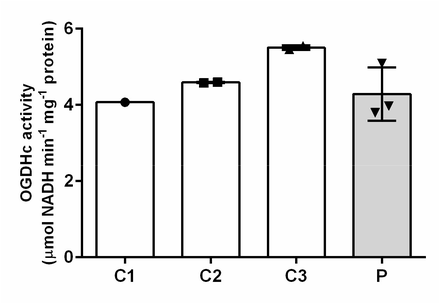 Figure 2- Figure Supplement 2B.