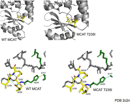 Figure 2- Figure Supplement 2D.