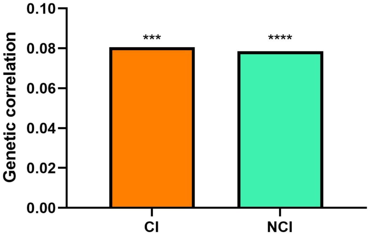 Investigating shared genetic architecture between obesity and multiple  sclerosis