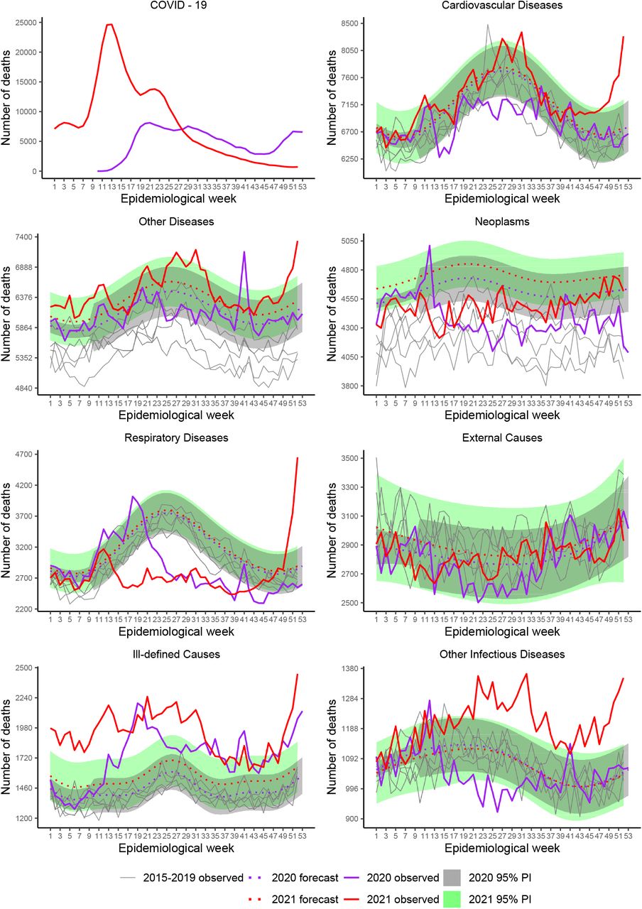 Outbreak of toxoplasmosis in a logging industry in the municipality of  Lages, Santa Catarina, Brazil, March to August 2022: a retrospective cohort  study