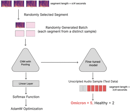 Figure 2: