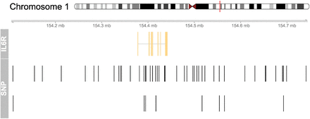 Figure 1: