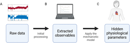 Fig 1.