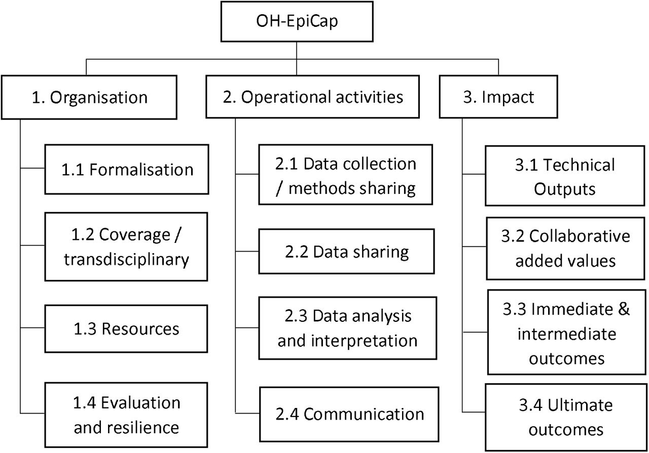 OH-EpiCap: a semi-quantitative tool for the evaluation of One