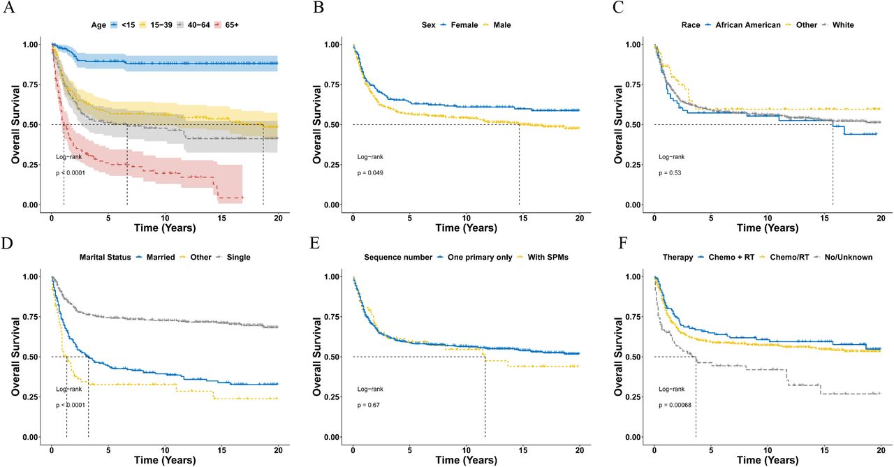 Primary Blastic Plasmacytoid Dendritic Cell Neoplasm: a US