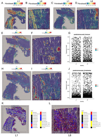 Figure 6: