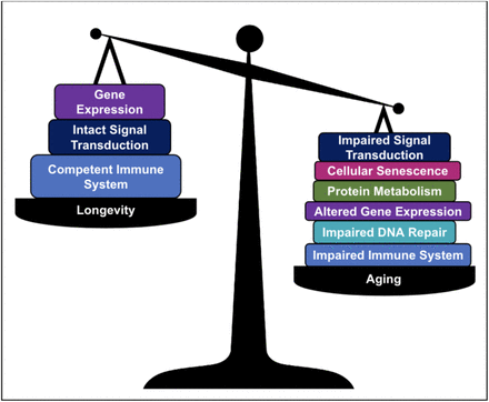 Figure 10.