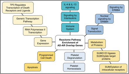 Figure 11.