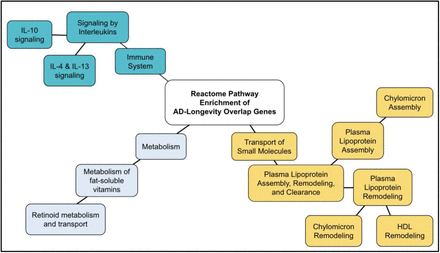 Figure 12.