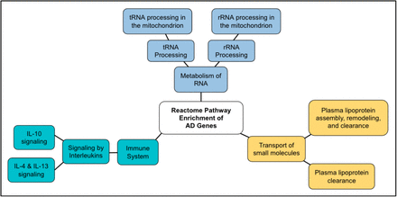 Figure 7.