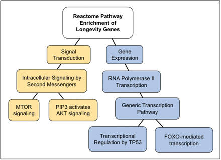 Figure 9.