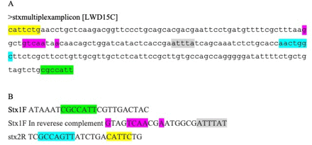 Figure 3: