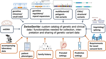 Figure 2: