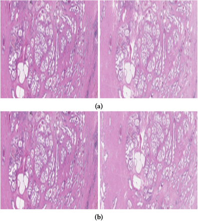 Figure 7: