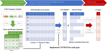 Figure 1: