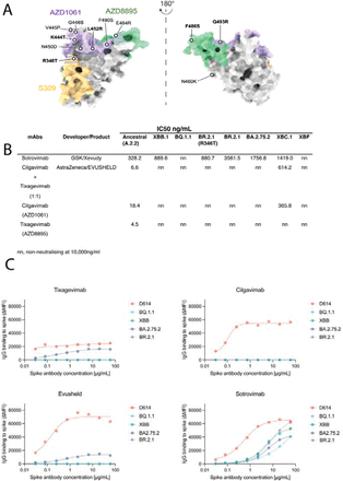 Figure 4: