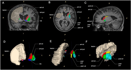 Figure 2 :