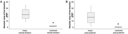 Figure 4 :