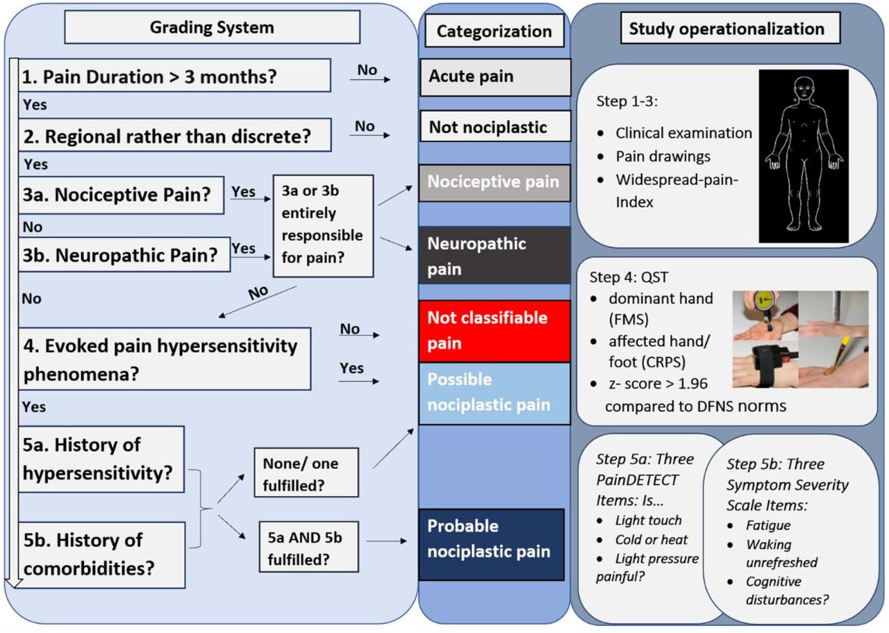 Application of the IASP grading system for nociplastic pain in