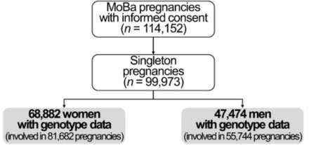 Supplemental Figure 1.