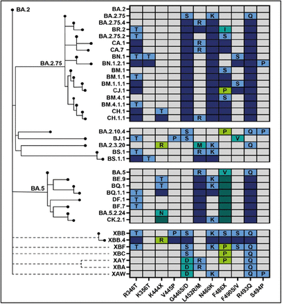 Figure 6: