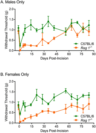 Supplementary Figure 1.