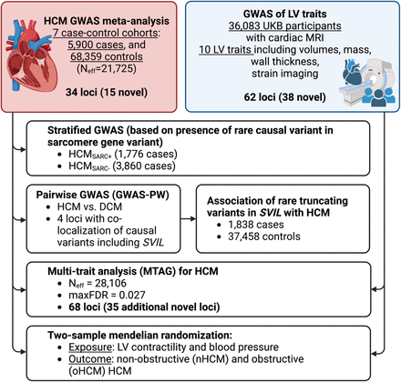 Figure 1: