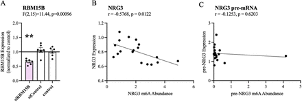 Supplementary Figure 7: