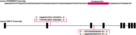 Supplementary Figure 10: