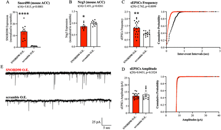 Figure 5: