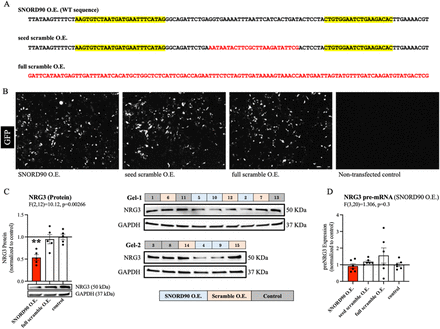 Supplementary Figure 3: