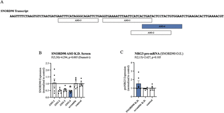 Supplementary Figure 4: