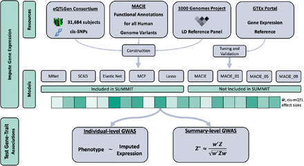 Figure 1: