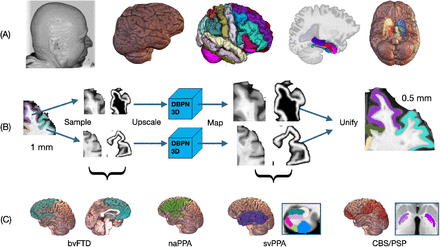 Figure 1: