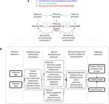 Figure 1: